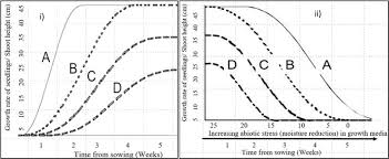 Image result for Bothriocline