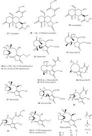 Image result for Vernonia miombicola