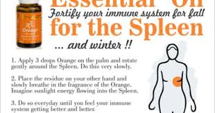 Pin On All About Essential Oils