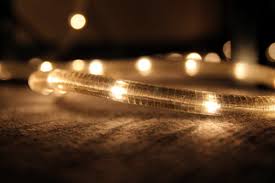 Build.com has been visited by 100k+ users in the past month Best Solar Rope Lights 2021 Reviews Earthtechling