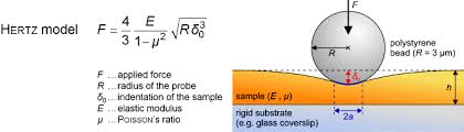 For one, you don't spend ages in the bathroom to get ready in the when you can work from home, you are finally able to make more decisions on your own. Introduction Scanning Force Microscopy Sfm Soft Matter Physics Division University Of Leipzig