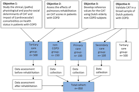Image result for COPD Assessment Test