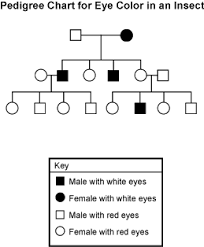 Study Guide