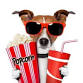 Sensory Movie: “Paddington in Peru” (2024) event image