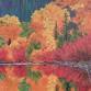 "Sunlit Moments" by Marianne Feaver event image