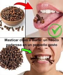 Masticar clavo a diario: un hábito poderoso en un pequeño gesto Los clavos  de olor, más que un simple condimento, esconden una farmacia natural en  miniatura. Al masticar uno o dos al