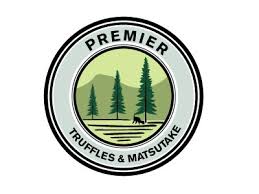 Conifers are also known as softwoods. Douglas Fir Designs Themes Templates And Downloadable Graphic Elements On Dribbble