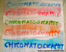 How Does Chromatography Work Explain That Stuff