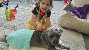 Maybe you would like to learn more about one of these? Free Pet Food Will Be Handed Out By Humane Society On May 5 Kgw Com