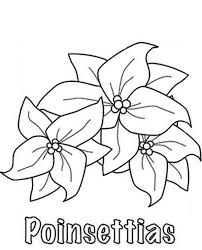 The spruce / miguel co these thanksgiving coloring pages can be printed off in minutes, making them a quick activ. How To Sketch Poinsettia Flower Coloring Page Download Print Online Coloring Pages For Free Color Nimbus