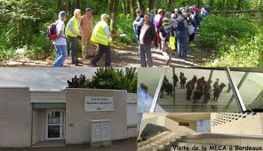 Association Joie De Vivre Merignac En Gironde