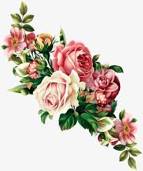 Rose Rose Clipart Hand Painted Png Transparent Clipart Image And Psd File For Free Download Vintage Flowers Flower Art Flower Illustration