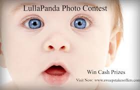 She's the most qualified person to do it, to lead our efforts with mexico and the northern triangle honduras, guatemala and el salvador, and the countries that are going to need. Lullapanda Baby Photo Contest Photo Contest Contest Contest Winning