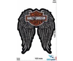 Image result for harley davidson wing