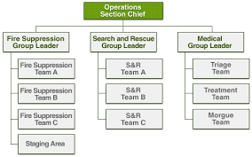 Expanded Cert Organizational Chart Showing The Operations