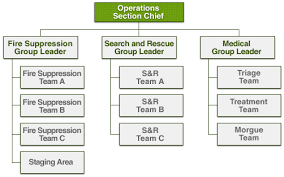 expanded cert organizational chart showing the operations