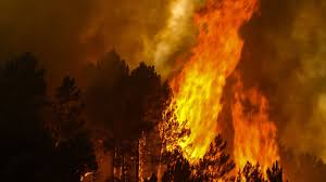 Este sábado de manhã não havia nenhum incêndio ativo em portugal continental, disse a adjunta de operações da autoridade nacional de proteção civil. Tudo Sobre Incendios Observador