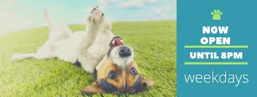 Maybe you would like to learn more about one of these? Canvasback Pet Supplies Home Facebook