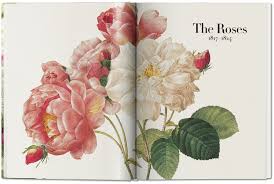 La redoute is a french multi channel retailer founded by joseph pollet in 1837. Redoute Das Buch Der Blumen Taschen Verlag