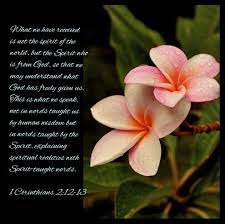 Power From The Holy Spirit 1 Corinthians 2 12 13 Niv What We Have Received Is Not The Spirit Of The World Spiritual Reality Daily Devotional 1 Corinthians