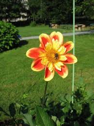 Zion lutheran church fredericksburg texas is the closest landmark to country inn & cottages. Country Inn Cottages Bewertungen Fotos Preisvergleich Fredericksburg Texas Tripadvisor