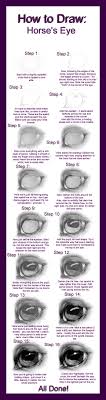 How To Draw Horse S Eye By Define X D56lokr Jpg 1 928 7 228 Pixels Horse Drawings Horse Art Drawings
