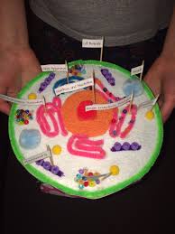Maybe you would like to learn more about one of these? Pin On School