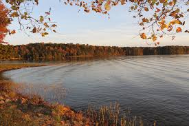 5 Facts About Lake Anna