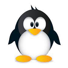 اشتري واحد واحصل على 4 مجانا Gentooshop Youtube
