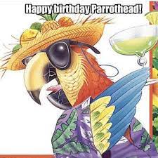 Party nice hawaiian party happy birthday banner for tropical luau party palm leaf decorations. Pin By Cindy G On Tropical Bird Life Parrot Head Parrot Cartoon Birthday Gif