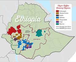 Maybe you would like to learn more about one of these? Ethiopia A Whole World Of Coffee Pt 2 Jones Brothers Coffee