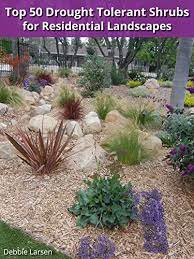 The combination of grass and concrete in many curb strips doesn't do much to stem water loss, but this planted version catches water before it hits the street. Top 50 Drought Tolerant Shrubs For Residential Landscapes Kindle Edition By Larsen Debbie Crafts Hobbies Home Kindle Ebooks Amazon Com
