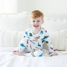 Hart Land Toddler Big Kid Pima Cotton Pj Set Dinosaurs