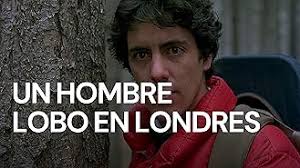 Joe Belcher: Biofilmografía