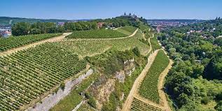Besonders herausragende weine wachsen insbesondere am höllenschlund, wie der weinberg am westlichen ende der würzburger innere leiste auch. Wurzburger Innere Leiste Silvaner Trocken Erste Lage