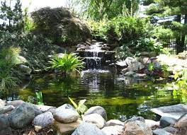 cascade bassin de jardin 27 idees creer votre havre de paix bassin de jardin cascade bassin jardin en pente