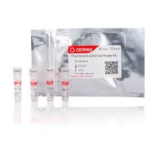 The synthesis of cdna from dna reduces the number of base pairs that should be handled during an experiment. Pr008 First Strand Cdna Synthesis Kit Biotrend
