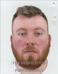 Find or check a Gas Safe registered business