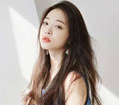 The former f(x) member was found dead in her home last upon investigation, the seongnam sujeong police station confirmed that the cause of sulli's death was suicide. Sulli Cause Of Death Boyfriend Dating F X Stars Offline
