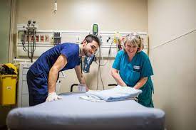 Contact the able futures employer services team. Healthcare Support Services Program Firsthand Experience Of Hospital Life