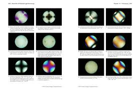 Image result for Polarized Microscopy