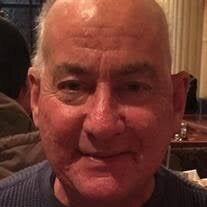 STEVEN SEIGLE Obituary