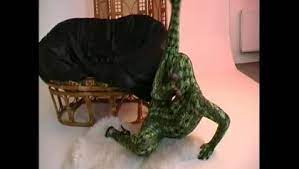 If you saw a green or yellow snake and are wondering what it is, you are in the right place. Spandex Zusanna Like A Green Snake Free Xxx Porn Videos Oyoh