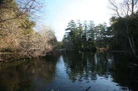 Take santa monica boulevard to beverly hills and turn north on beverly drive. Map And Site Information Franklin Canyon Park Santa Monica Mountains National Recreation Area U S National Park Service