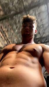 Harry jowsey nudes onlyfans