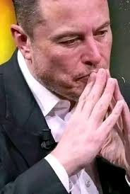 Florida Life · 64M posts On Threads