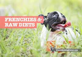 French Bulldog Raw Diet Plan Guide Risks Benefits