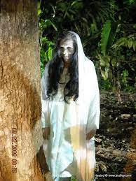 Maybe you would like to learn more about one of these? 72 Gambar Hantu Whatsapp Kekinian Gambar Pixabay