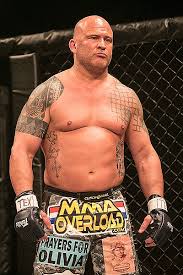 Chris chan lee, asian american filmmaker. Chris The Celtic Tiger Reed Mma Stats Pictures News Videos Biography Sherdog Com