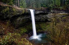 We did not find results for: Silver Falls State Park Wikipedia